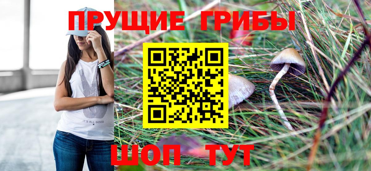 Псилоцибиновые грибы Cubensis  Вход с VPN  Кудымкар 