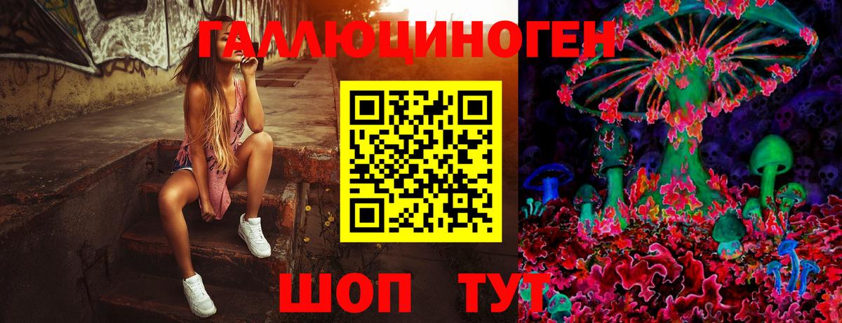 Псилоцибиновые грибы прущие грибы Кудымкар